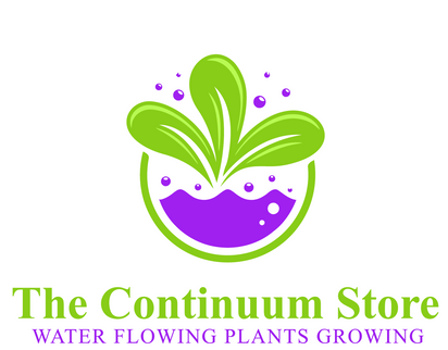 The Continuum Store