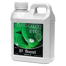 CYCO B1 BOOST 1L